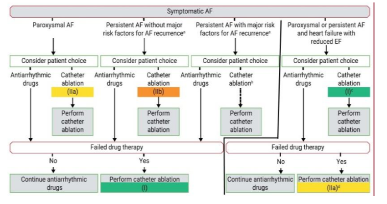 Traitement de la fibrillation atriale : le choc électrique , comment ça  marche ?